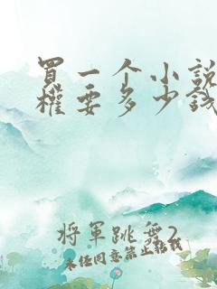 买一个小说的版权要多少钱