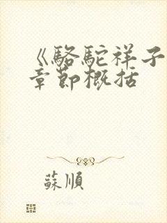 《骆驼祥子》各章节概括