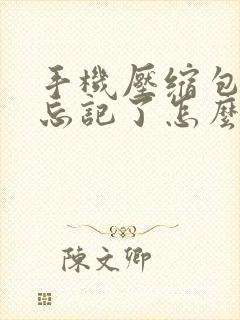 手机压缩包密码忘记了怎么解除