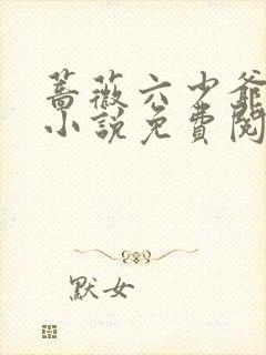 蔷薇六少爷全部小说免费阅读