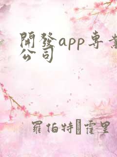 开发app专业公司