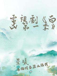 电视剧《白夜追凶 第一季》重逢版 更新