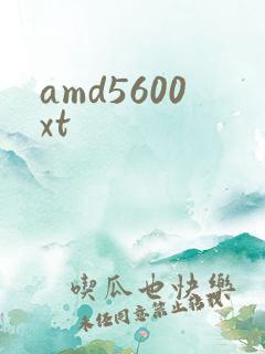 amd5600xt