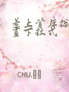 惹上首席总裁漫画下拉式