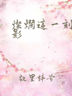 灿烂这一刻 电影