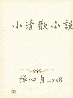 小清欢小说番外