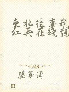 东北往事我叫赵红兵在线观看完整版高清