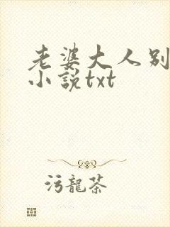 老婆大人别想逃小说txt