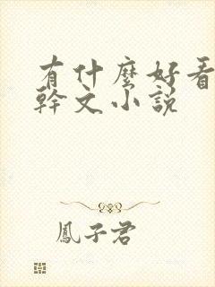 有什么好看的高干文小说