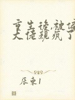 重生后,被偏执大佬亲疯了