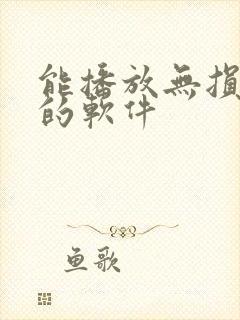 能播放无损音乐的软件