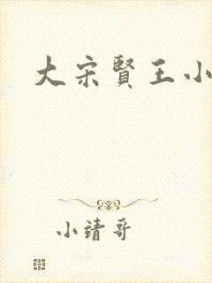 大宋贤王小说