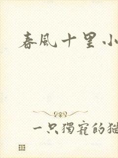 春风十里小说