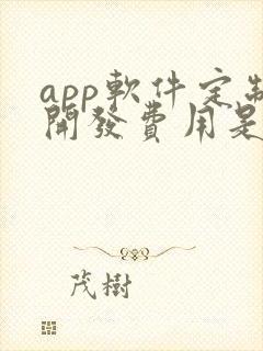 app软件定制开发费用是多少