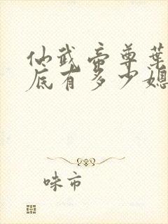 仙武帝尊叶辰到底有多少媳妇