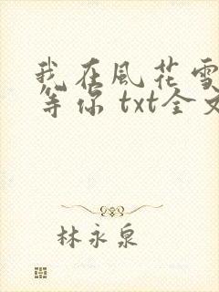 我在风花雪月里等你 txt全文下载