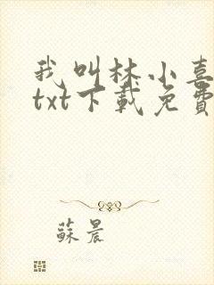 我叫林小喜小说txt下载免费