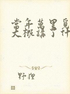 当年万里觅封侯大概讲了什么