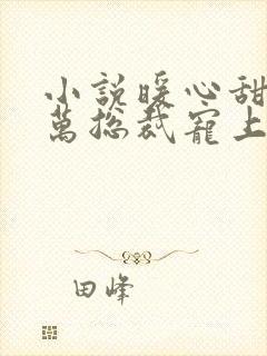 小说暖心甜妻亿万总裁宠上天