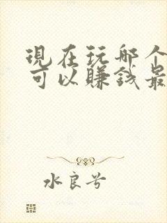 现在玩哪个游戏可以赚钱最快