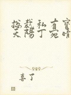 总裁私有宝贝穆天阳丁宛晴