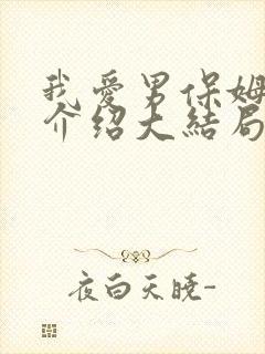 我爱男保姆剧情介绍大结局