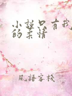 小说只有我懂他的柔情