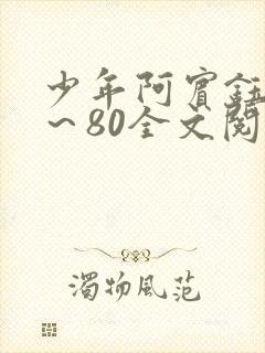 少年阿宾钰慧1～80全文阅读