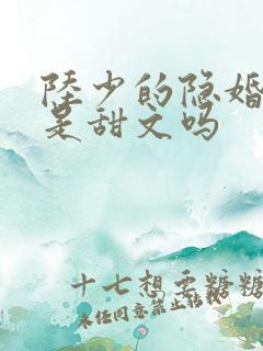 陆少的隐婚罪妻是甜文吗