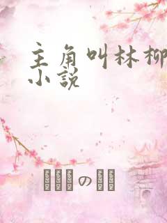 主角叫林柳儿的小说