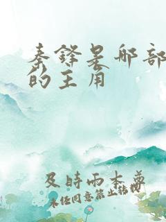 秦锋是哪部小说的主角