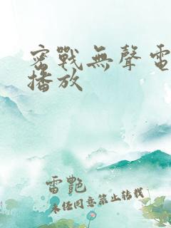 密战无声电视剧播放