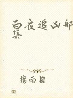 白夜追凶哪有全集