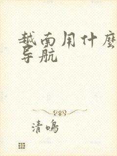 越南用什么地图导航