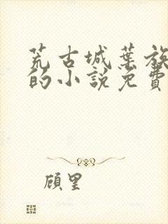 荒古城叶族叶观的小说免费阅读