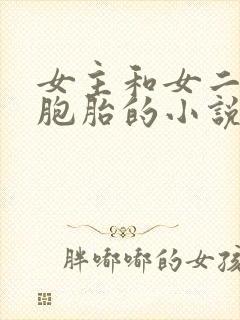 女主和女二是双胞胎的小说