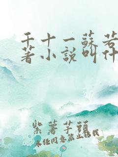 千十一苏若曦原著小说叫什么名字