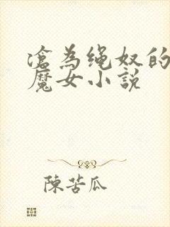 沧为绳奴的仙子魔女小说