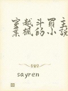 穿越斗罗主角是叶枫的小说