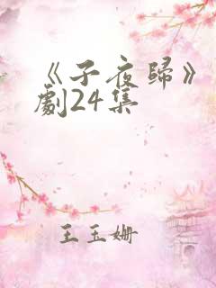 《子夜归》电视剧24集