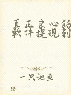 真正良心的赚钱软件提现到微信