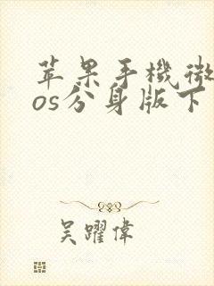 苹果手机微信ios分身版下载安装