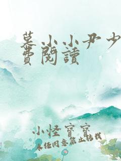 慕小小尹少桀免费阅读
