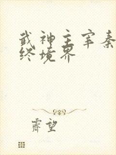 武神主宰秦尘最终境界
