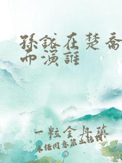 孙铱在楚乔传里面演谁