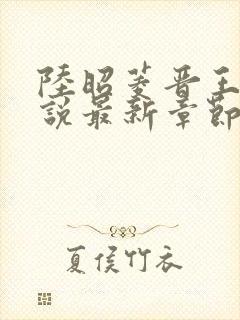 陆昭菱晋王的小说最新章节