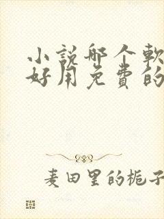 小说哪个软件最好用免费的