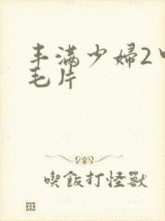 丰满少妇2中文毛片