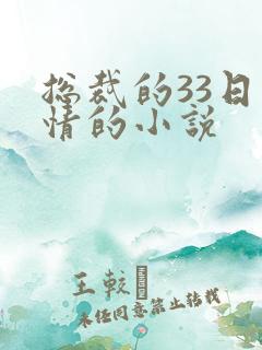 总裁的33日索情的小说