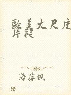 欧美大尺度床戏片段